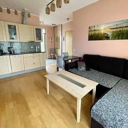 Cozy Appartment, Near Center And Beach. A/c Parnu